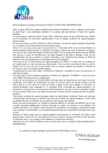 thumbnail of Communiqué UNSA SDIS49 fevrier 2019